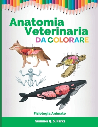 Anatomia Veterinaria Da Colorare