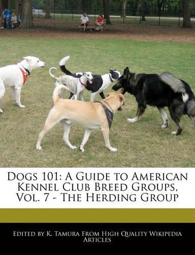 Dogs 101