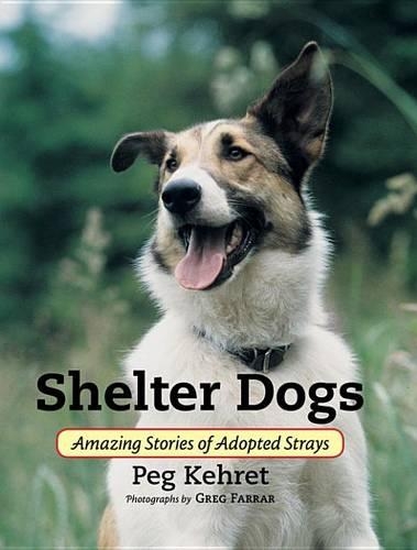 Shelter Dogs: Amazing Stories of Adopted Strays