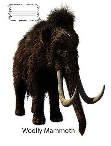Woolly Mammoth Dinosaur wide-ruled lined composition book