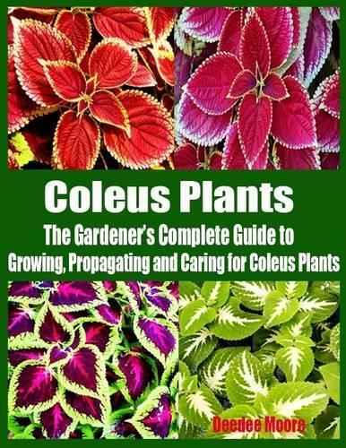 Coleus Plants - The Gardener’s Complete Guide to Growing, Propagating and Caring for Coleus Plants