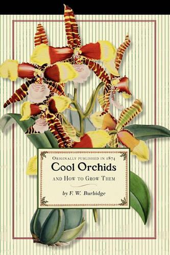 Cool Orchids: And How to Grow Them: With a Descriptive List of All the Best Species in Cultivation(Gardening in America)