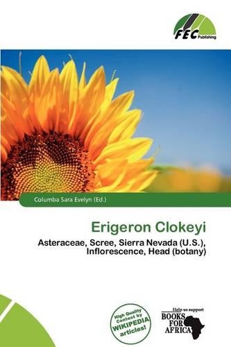 Erigeron Clokeyi: (English)