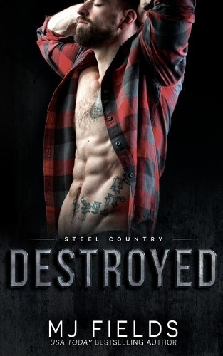Destroyed: Falcon Brothers(2 Steel Country)