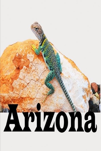 My Adventures to Arizona Travel Journal
