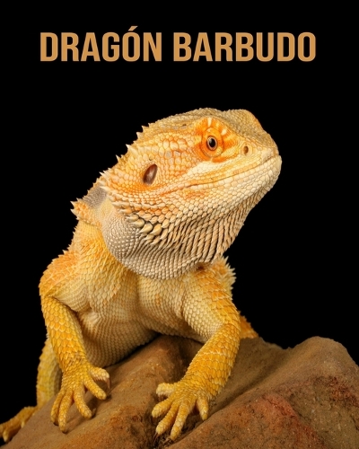 Dragón Barbudo
