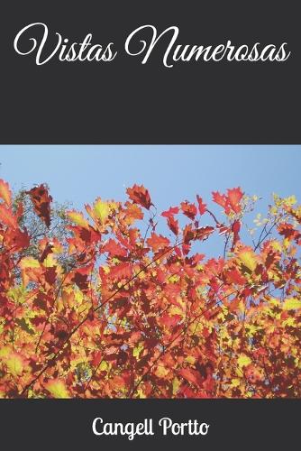 Vistas Numerosas