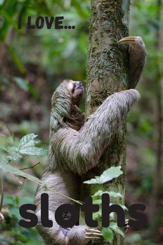 I Love Sloths