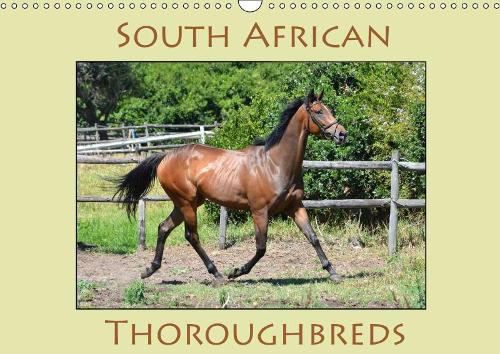 South African Thoroughbreds 2019: Photographs of South African Thoroughbred horses.(Calvendo Animals)