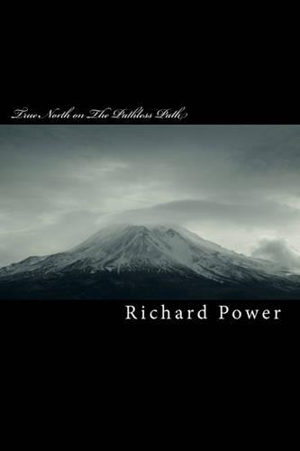 True North on The Pathless Path