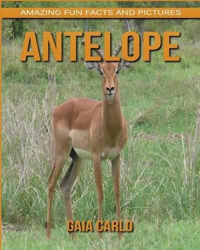 Antelope
