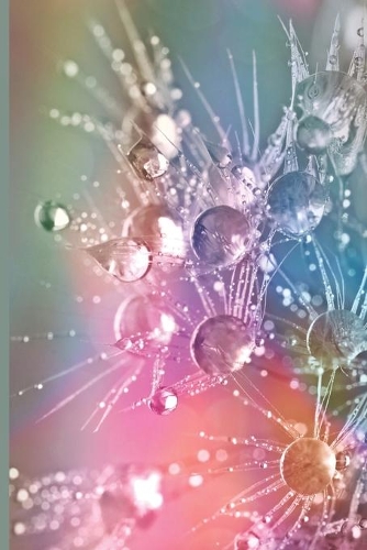 Splashes of an Angel