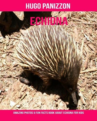 Echidna: Amazing Photos & Fun Facts Book about Echidna for Kids