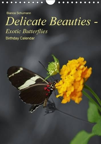 Delicate Beauties - Exotic Butterflies 2015