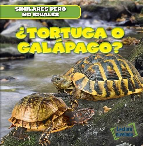 ¿Tortuga O Galápago? (Turtle or Tortoise?)