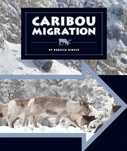 Caribou Migration: (Animal Migrations)