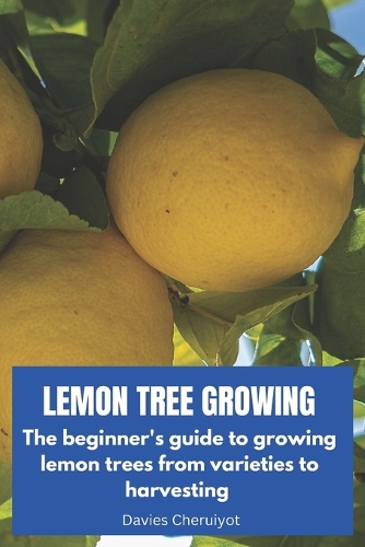 Lemon Tree Growing