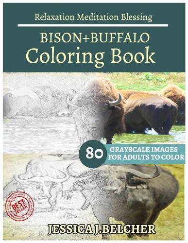 Bison+buffalo Coloring Books