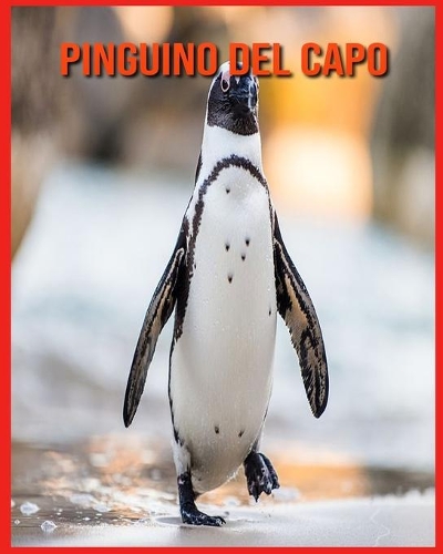 Pinguino del Capo