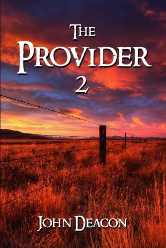 Provider 2