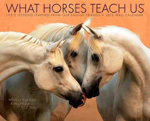 What Horses Teach Us Wall Calendar