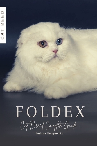 Foldex