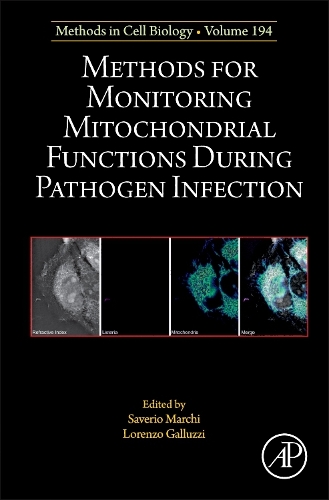 Methods for Monitoring Mitochondrial Functions During Pathogen Infection: Volume 194(Volume 194 Methods in Cell Biology)