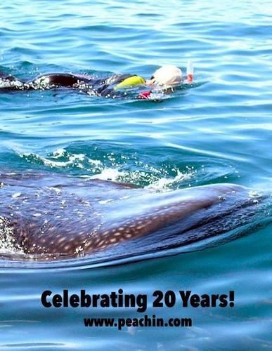 Celebrating 20 Years: (English)