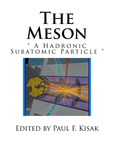 The Meson
