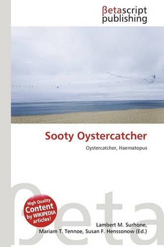 Sooty Oystercatcher