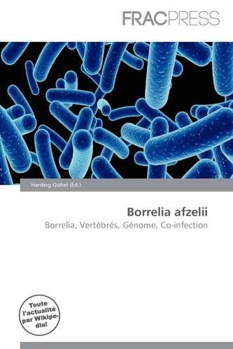 Borrelia Afzelii