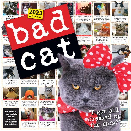 Bad Cat Wall Calendar 2023