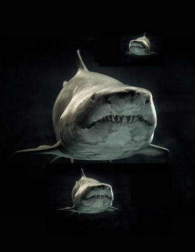 Great White Sharks Notebook Journal 150 Page College Ruled Pages 8.5 X 11