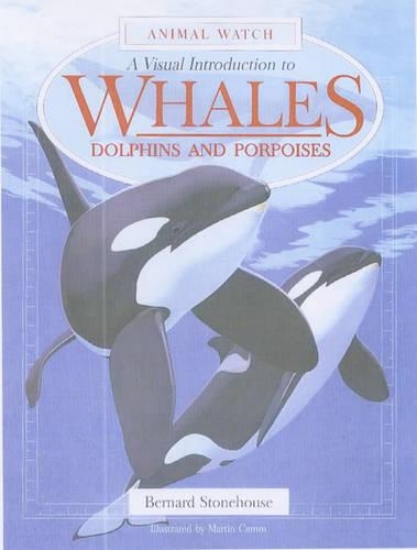 A Visual Introduction to Whales