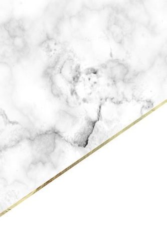 Marble + Gold Bullet Journal