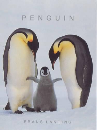 Penguins