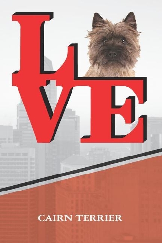 Cairn Terrier