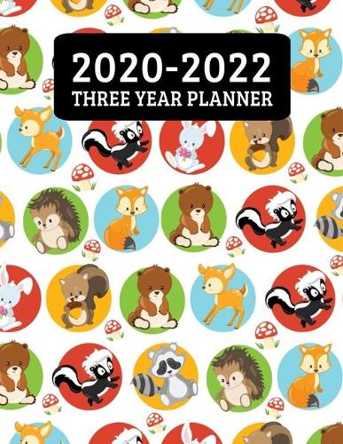 2020-2022 Three Year Planner