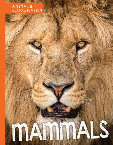 Mammals: (Animal Classification)