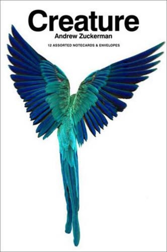 Creature Boxed Notecard