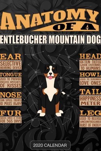 Anatomy Of A Entlebucher Mountain Dog