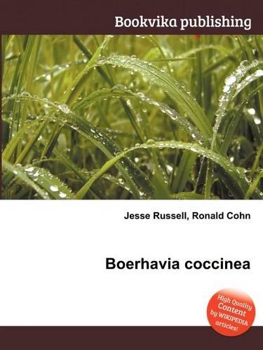 Boerhavia Coccinea
