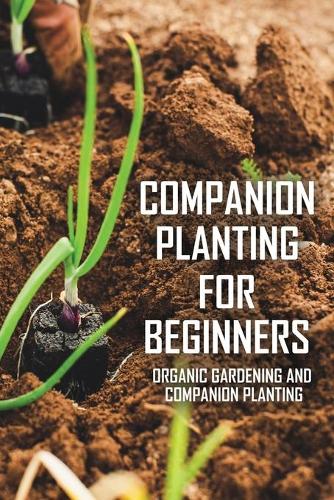 Companion Planting For Beginners