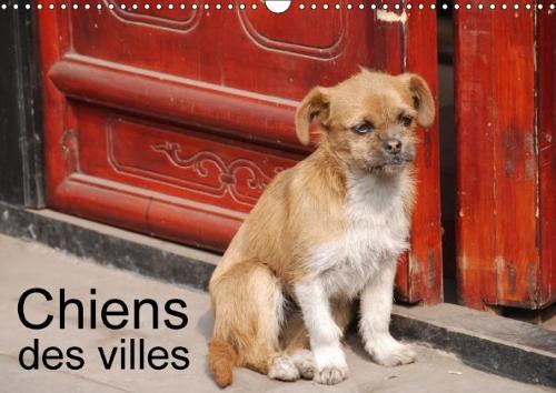 Chiens Des Villes 2018: La Vie Canine En Ville(Calvendo Animaux)