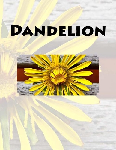 Dandelion