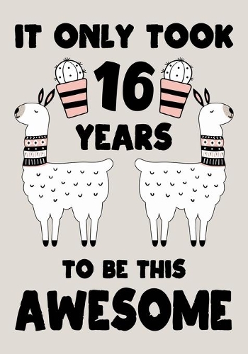 It only Took 16 Years To Be This Awesome