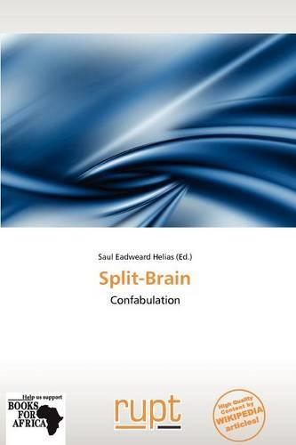 Split-Brain