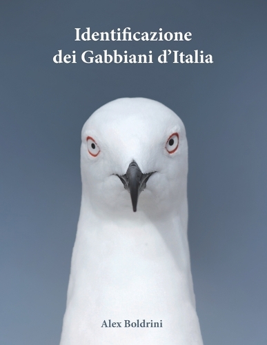 Identificazione dei Gabbiani d'Italia