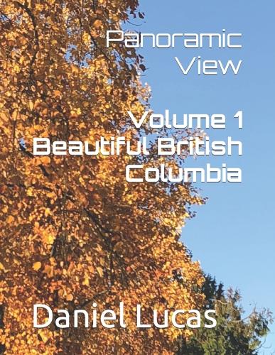 Panoramic View: (1 Landscape Photo)