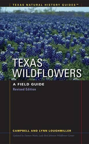 Texas Wildflowers